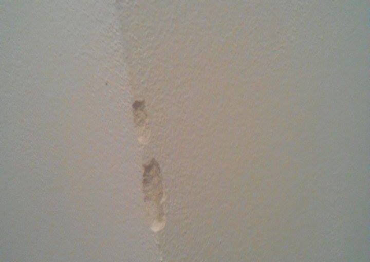 Urazili jste při stěhování roh zdi? Víte, jak opavit roh zdi ve 4 krocích opravit?